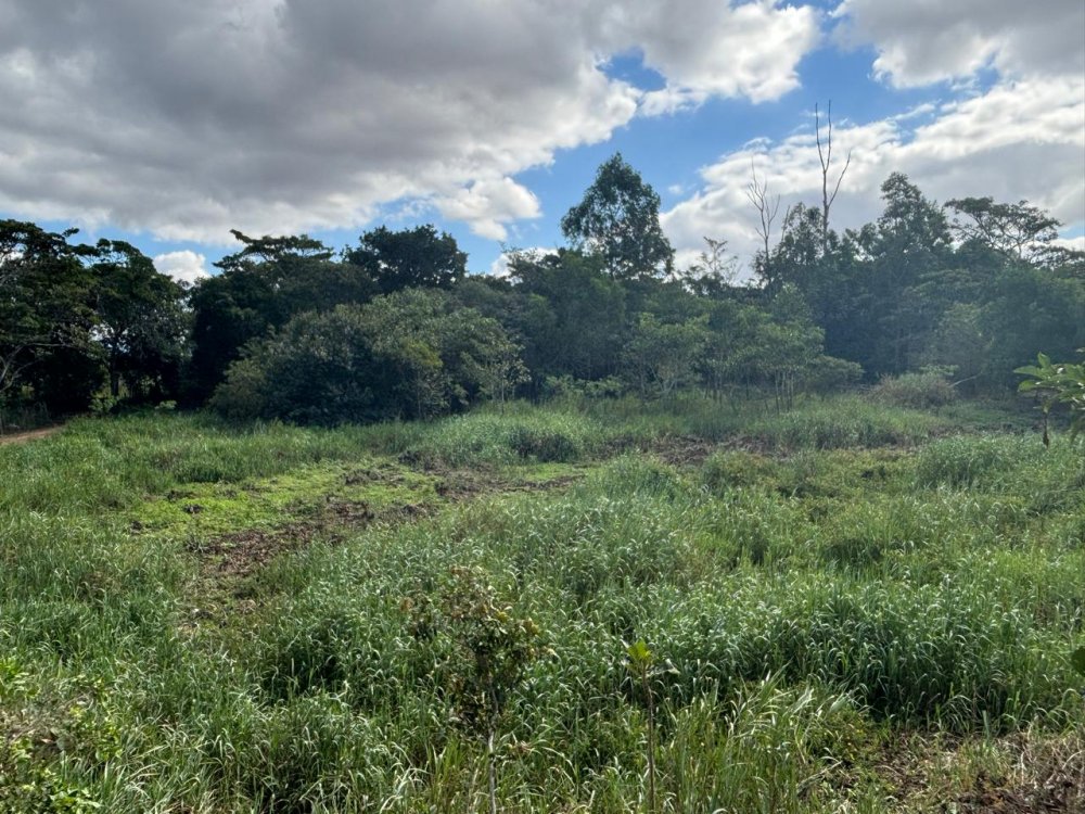 Terreno - Venda - Urura - Campos dos Goytacazes - RJ