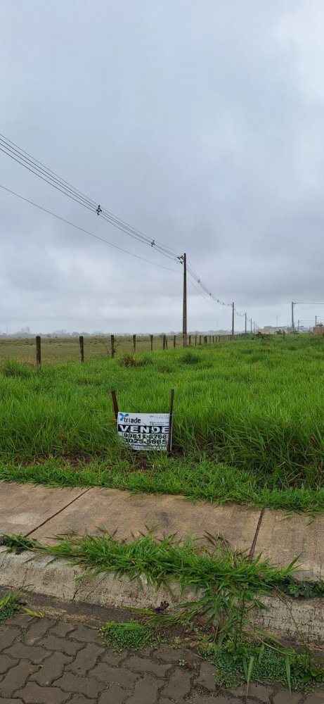 Terreno - Venda - Cidade Jardim - Campos dos Goytacazes - RJ